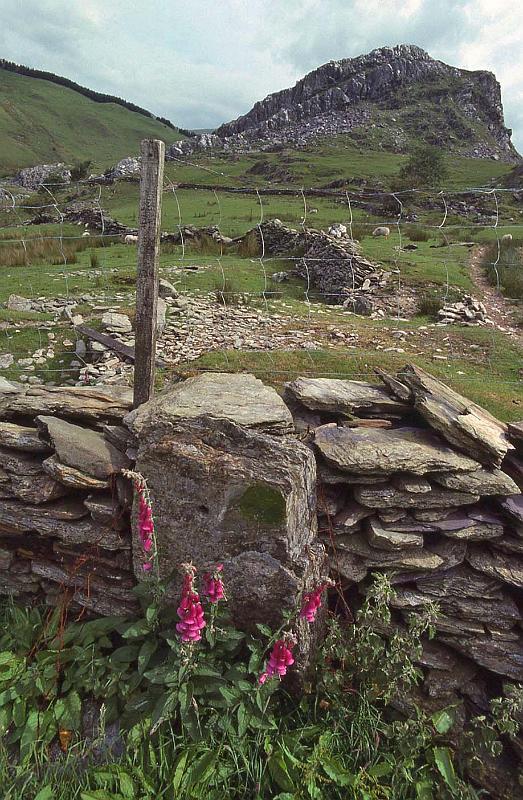 WT 2700 337-12 UK 1992-1.jpg